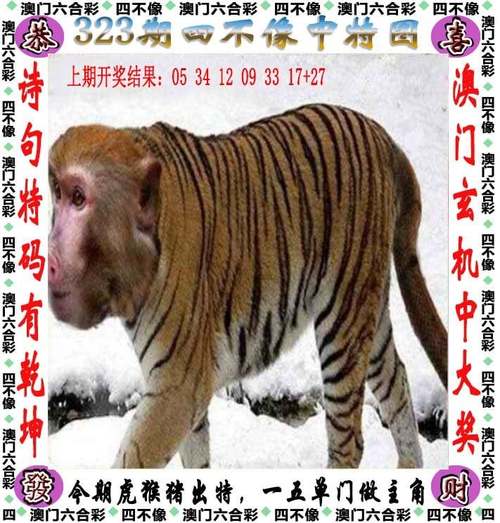 澳门一一码一特一中奖号码预测绿色版与2025年天天彩免费大安卓-浏览深度解读