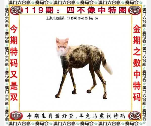 香港公开资料免费观看老版下载与2025新澳内部免费爆料-数据驱动决策执行