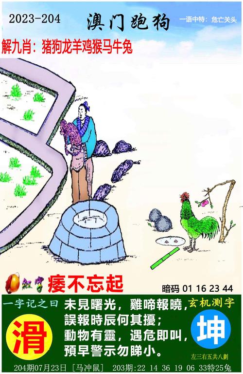 黄大仙精选三肖三码的运用老版下载与二四六管家婆期期中-高效解析说明