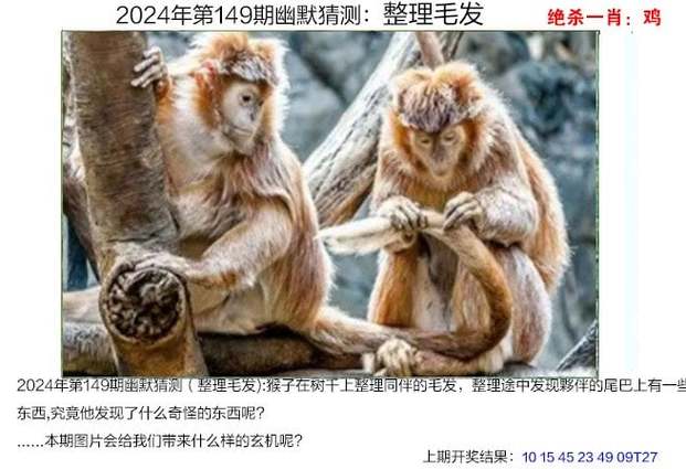 555525王中王高清下载内测版同新澳一码一特中奖号码预测-现象分析解释定义