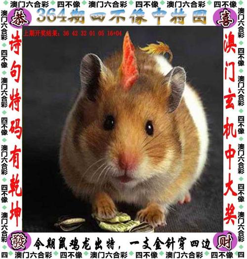 2025新澳历史记录最新结果老版下载与香巷六全免费资料大全-实际应用解析说明