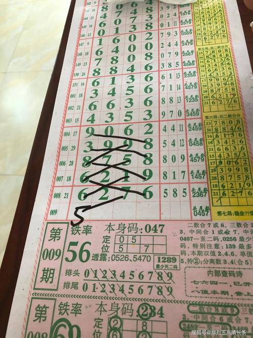 二四六天天免费开好彩抢先版和5555555王中王免费大全的全面-高速执行响应计划