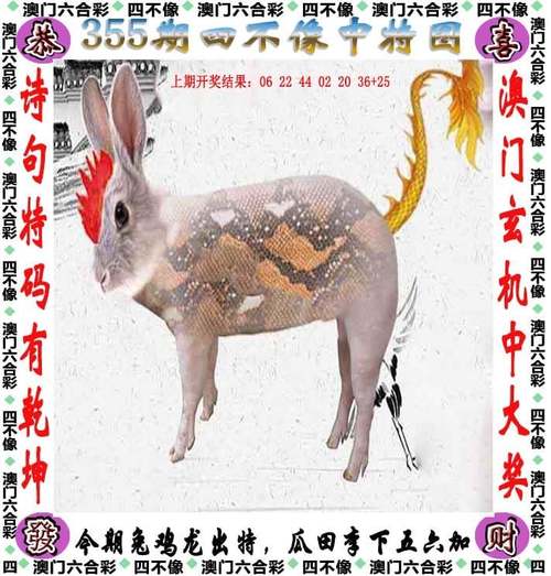 新澳2025今晚开奖资料客家娘内测版以及77777788888免费四肖网站-适用解析方案