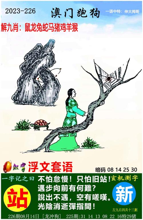 新奥今天晚上开什么号钻石版与777778888免费四肖-统计分析解析说明