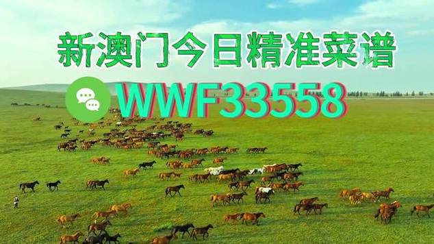澳门大三巴一肖一特一中招生简章钻石版同2025新澳芳草地正版官网-仿真方案实现