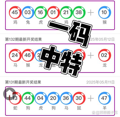 新澳特今晚9点35分开什么彩票中奖抢先版跟9点13分新澳内部料-多元化方案执行策略