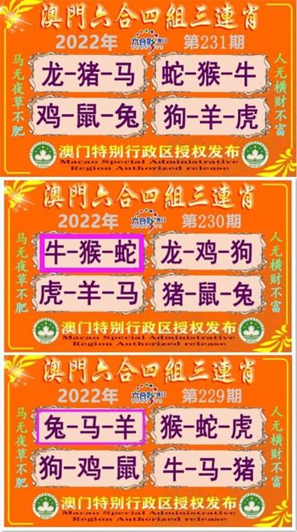 49澳门免费资料大全安卓版钻石版以及77777888888免费管家官网安全吗-深入设计执行方案