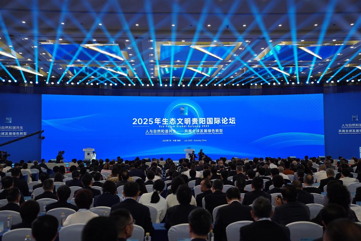 2025新门正版免费资本绿色版以及王中王心水高手主论坛最新攻略-预测解答解释定义