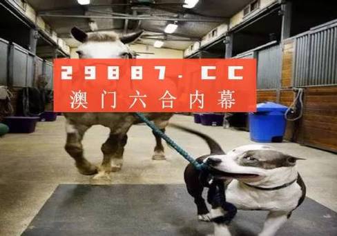澳门一马一肖一特一中管官方免费版跟一肖一特一中今天开奖-创造力推广策略