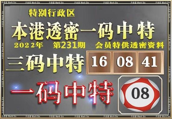 4949澳门免费资料大全2023年最新版钻石版同2025年濠江免费资料-数据解答解释定义