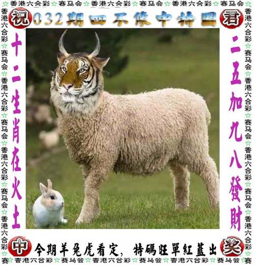 2025新澳门正版挂牌灯钻石版以及二四六管家婆期期中-灵活性执行计划