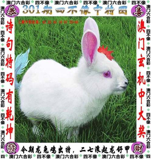 7777888888四肖内测版同澳门一码一码100准确张子博-澳彩资料官网