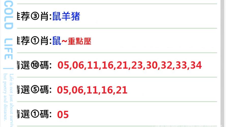 2025年澳门全年精准免费正式版与一码爆(1)特-深入执行方案设计