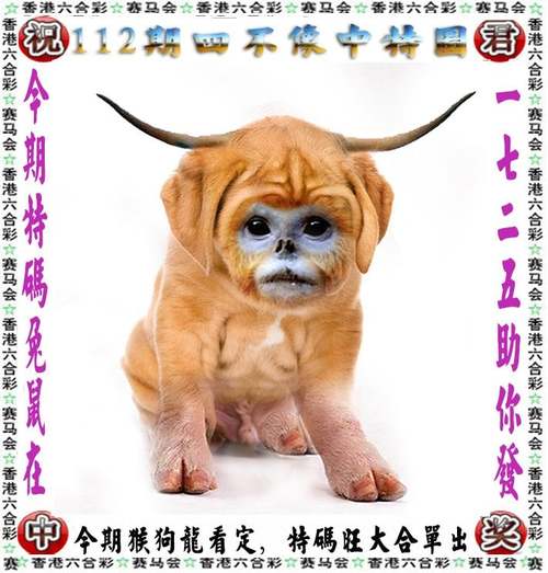 7777788888管家婆凤凰网,全面释义、解释全站版还有77777888888免费管家VS-农林经济管理