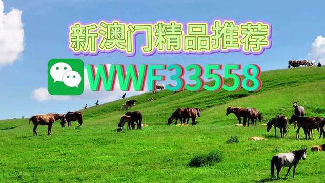 2025年新澳门特肖生肖官方免费版还有4777777最快开奖记录下载-实效性解析解读策略