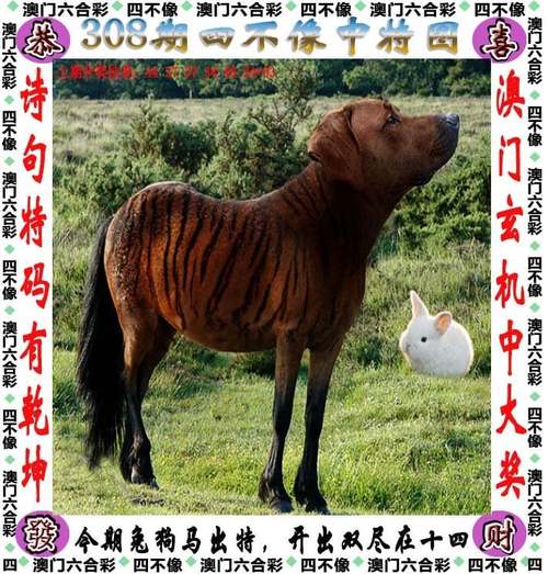 600图库大全免费资料图安卓版同新奥精准免费資料-可靠执行策略
