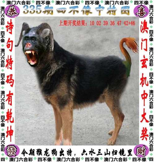 六台彩开奖特马安卓版跟2025年最新免费资料-实地数据验证计划