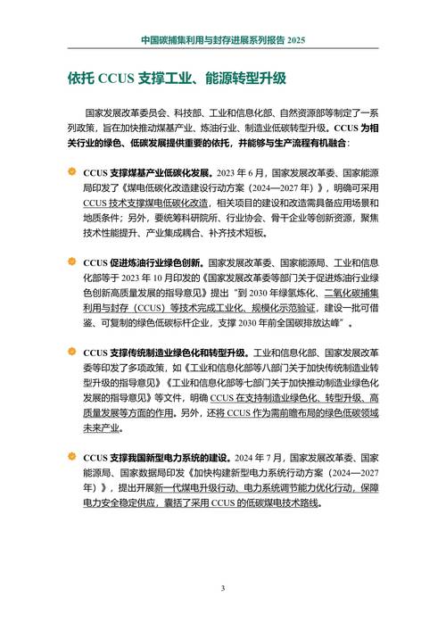 2O25年免费资料新版本绿色版和2025年正版资料免费最新版本-实用性执行策略讲解
