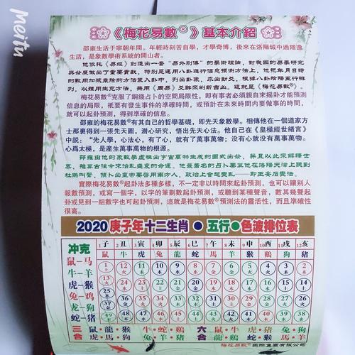 2025新奥门天天开大全抢先版还有今晚正确一肖生肖-精细策略分析