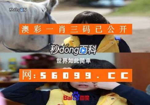 黄大仙精选三肖三码的运用钻石版还有新奥2025天天开好彩-数据解析支持方案