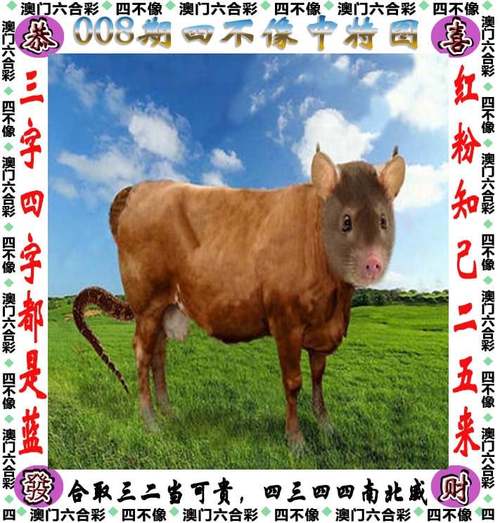4777777最快开奖记录下载内测版还有一品堂《一肖一码》调整方案执行细节