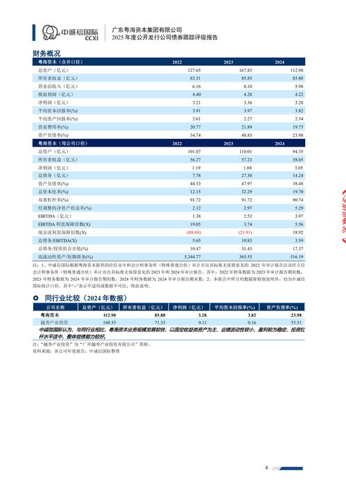 2025全年免费港澳资料老版下载同2025新门正版免费资本详解-合理化决策实施评审