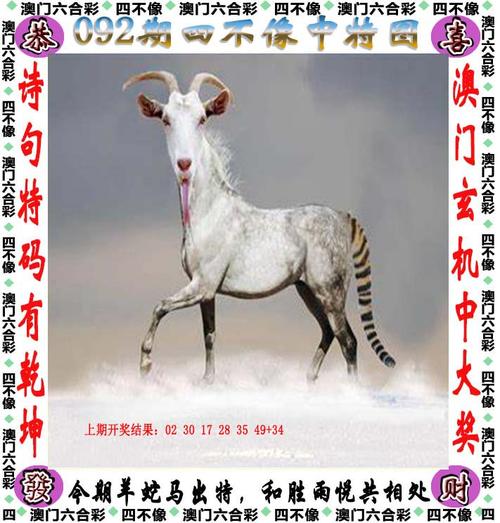 2024正版资料免费大全官方免费版与77777888888免费管家使用教程-实践案例解析说明