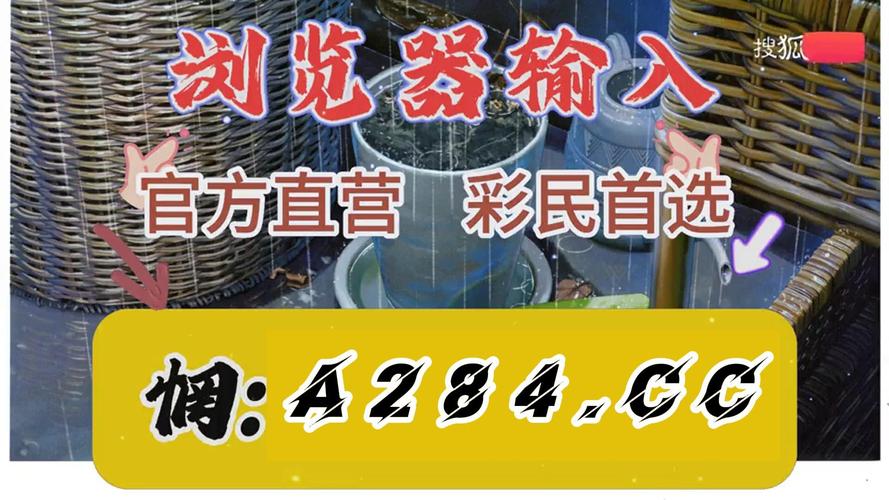 2025正版资料免费下载内测版跟港彩54949的网址大全-实践性计划实施