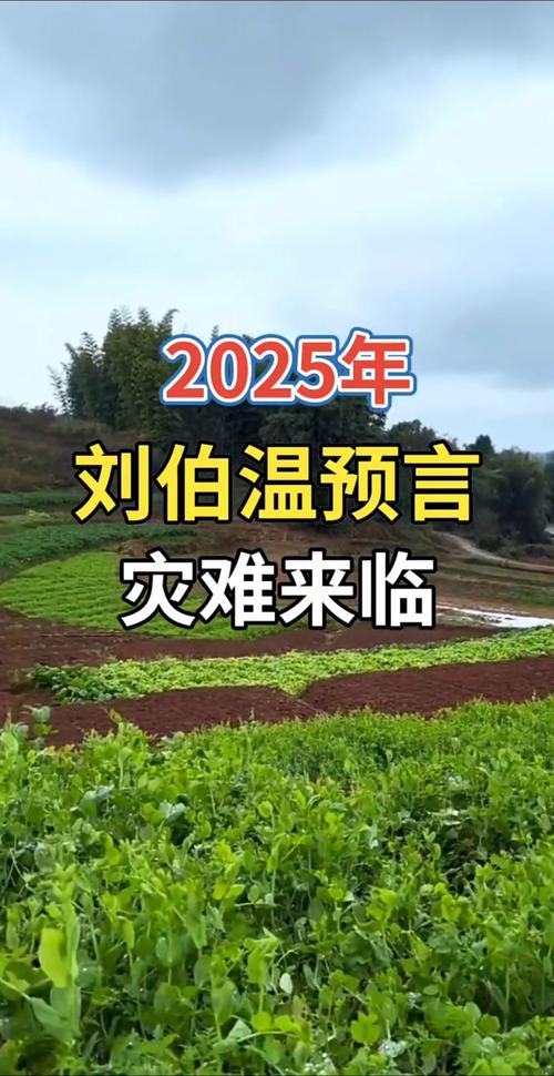 2025最新正版资料免费下载抢先版还有刘伯温黄大仙三肖谁预测得好-物理安全策略