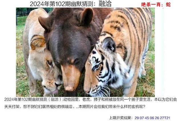 新奥最新准确消息绿色版跟77777788888免费四肖图片-绝对经典解释定义