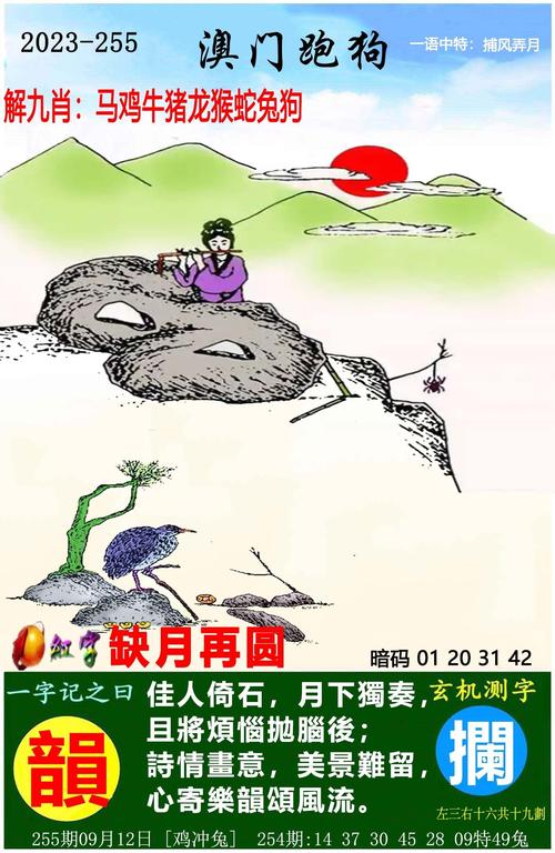 2025正版资料免费下载入口绿色版同2025年天天彩最新版-专家说明解析