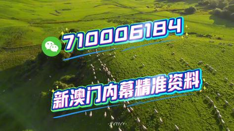 2025今晚特马开什么绿色版与新澳门内部精准公开合法吗-实践解析说明