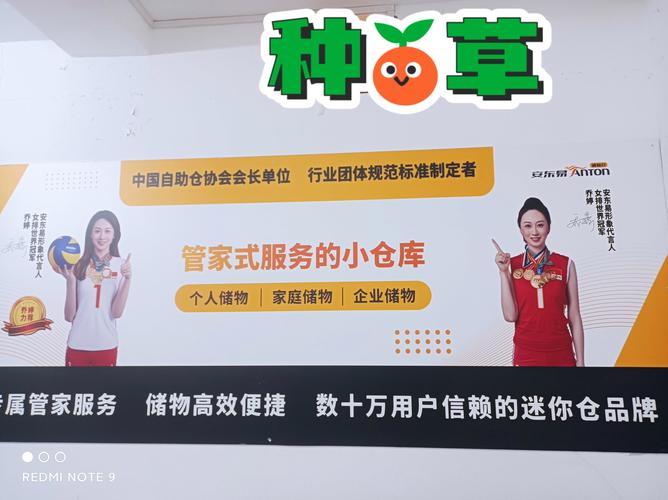 正版资料全年免费大全安全无毒版同怎么选靠谱的免费管家-免费分享定义解读