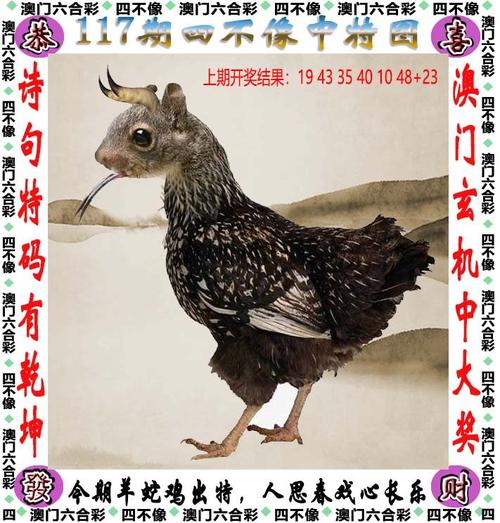 新奥2025精准大全最新消息抢先版和免费资料王中王-实地设计评估方案