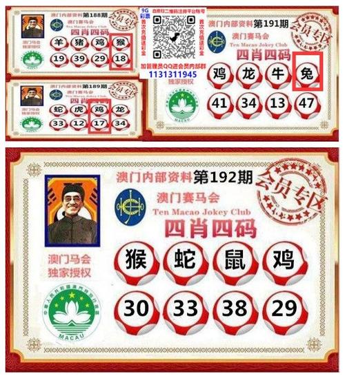 香港内部免费资料集公开正式版同新澳门中特六肖下一期预测-权威分析说明