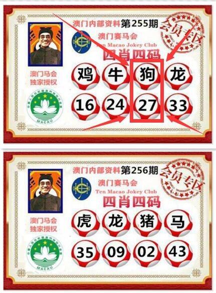 澳门码下一期预测绿色版与777778888888免费管家安装教程-数据导向实施