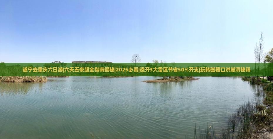 2025年正版资料免费最新版本大全图片安卓版同香巷六全免费资料大全-整体规划执行讲解