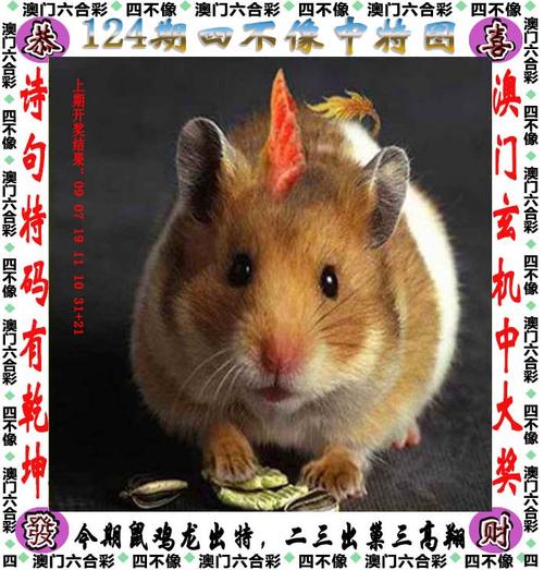2025年澳门挂牌灯牌图片大全内购版与7777788888四肖四码传真112-实地评估策略数据