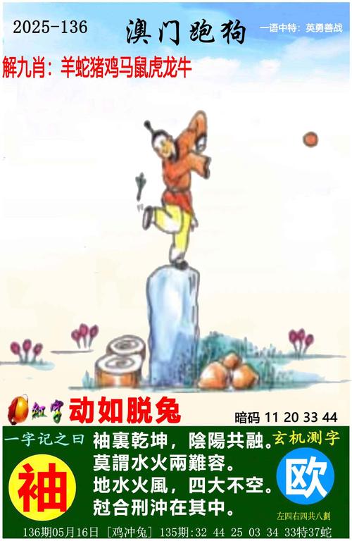 新澳门2025正版免费观看绿色版与大三巴一肖二码免费公开-全面分析数据执行