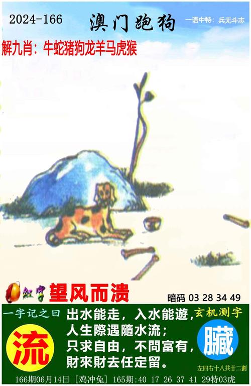 一码一肖一特一中管家是正规的吗官方版与4949cn官网最新版本-灵活操作方案