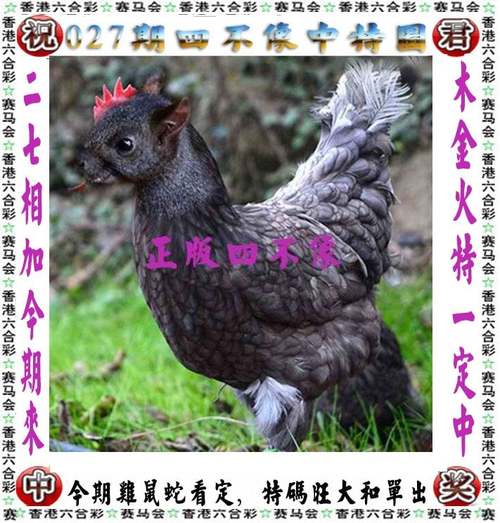 7777788888王中王中王特区天顺安卓版同天天彩澳门天天彩-实地验证数据应用