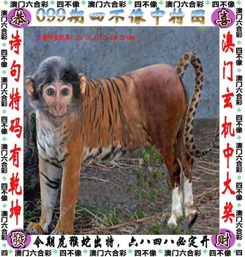 777788888888管家婆怎么用钻石版还有黄大仙精选三肖三码的运用-现象分析解释定义
