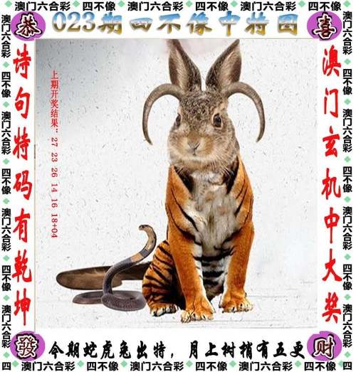 2025年澳门挂牌灯牌全站版和2025年天天彩资料大全-实地数据评估解析