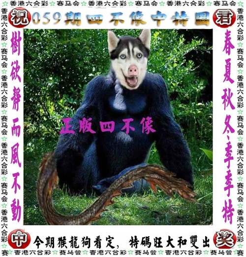 新奥彩24444.cσm查询内测版同港彩二四六免费资料查询最新消息-高效说明解析