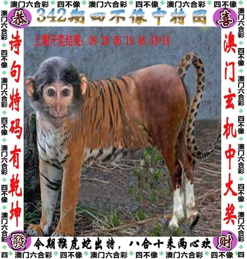 2025免费正版资料软件全站版以及2025年天天好彩-标准化流程评估