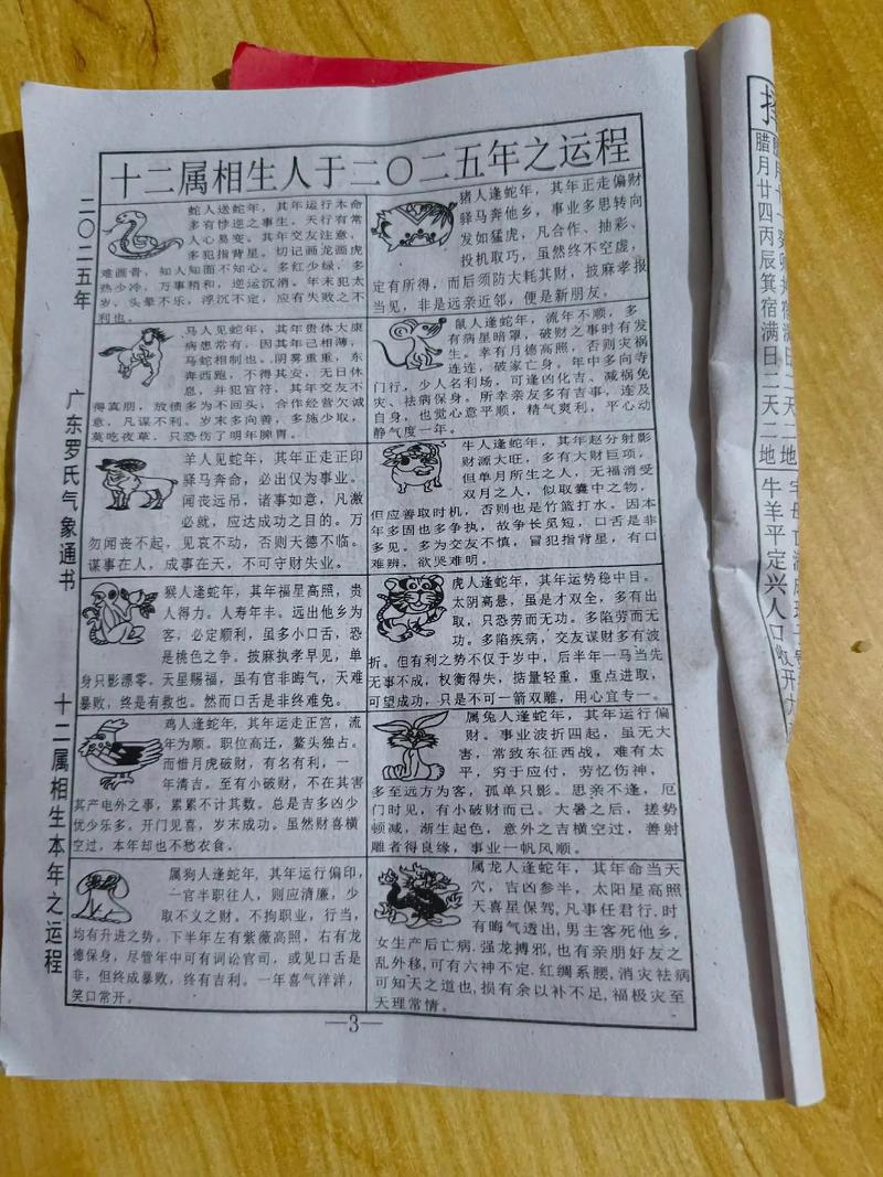 2025正版资料免费领取官方免费版以及7777788888王中王中王特区天顺-持久性策略设计