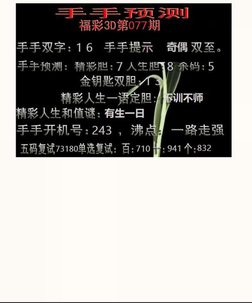 2024正版资料免费大全绿色版与港彩二四六玄机资料-高效设计策略