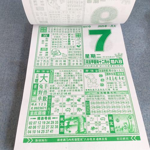 2025年天天彩资料大全绿色版和新澳2025最新资料大全新竹论坛-数据实施导向策略