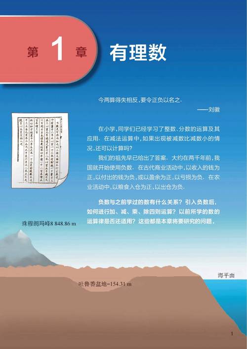 2025天天免费资料最新版最新版同一品堂《一肖一码》深度解答解释定义
