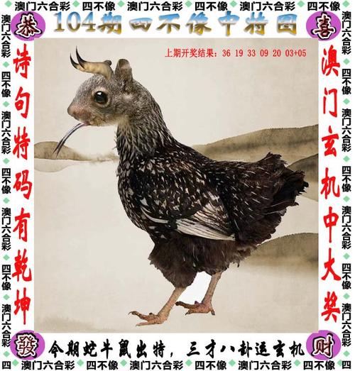 澳门一马一肖一特一中管官方免费版跟澳门一码一中一特下一期预测-全面分析数据执行